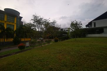 The Lotus of The Mines