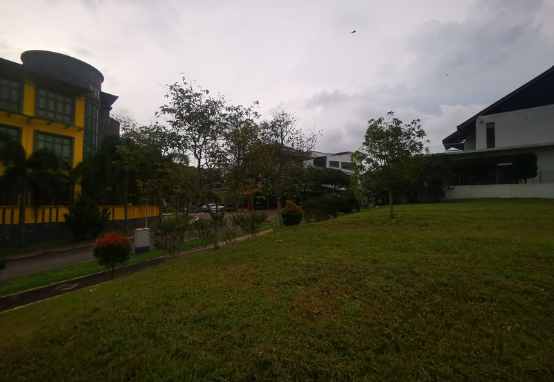 The Lotus of The Mines