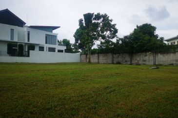 The Lotus of The Mines