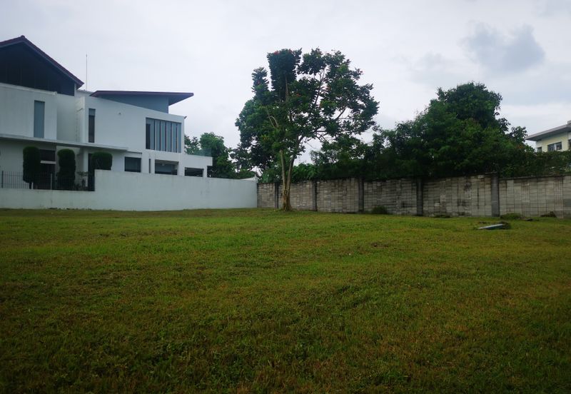 The Lotus of The Mines