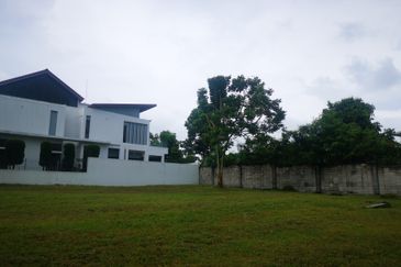 The Lotus of The Mines