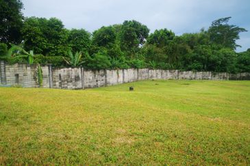 The Lotus of The Mines