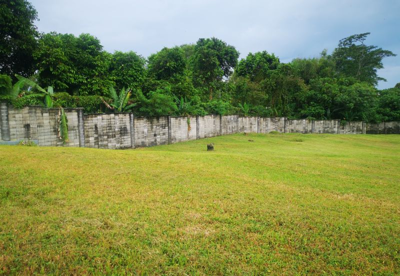 The Lotus of The Mines