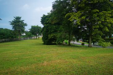 The Lotus of The Mines