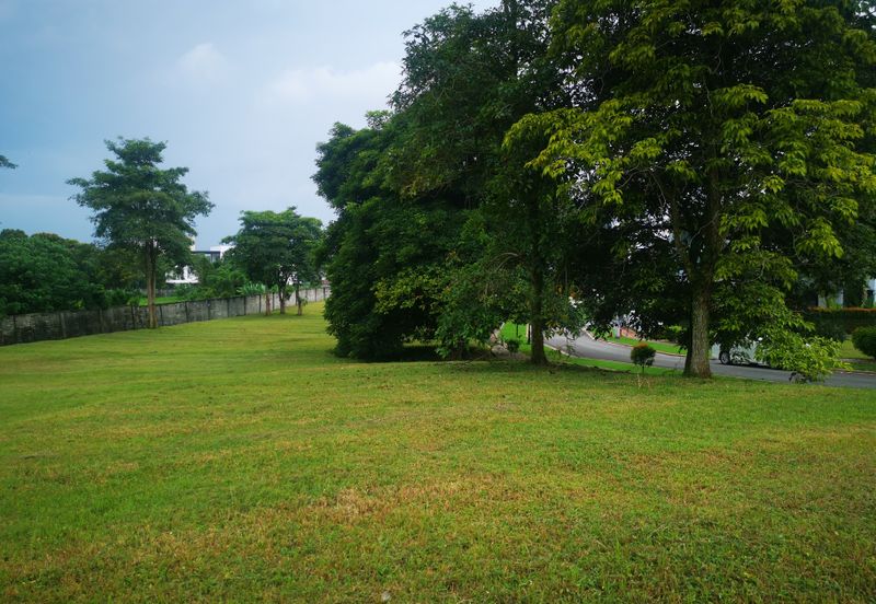 The Lotus of The Mines