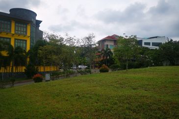 The Lotus of The Mines