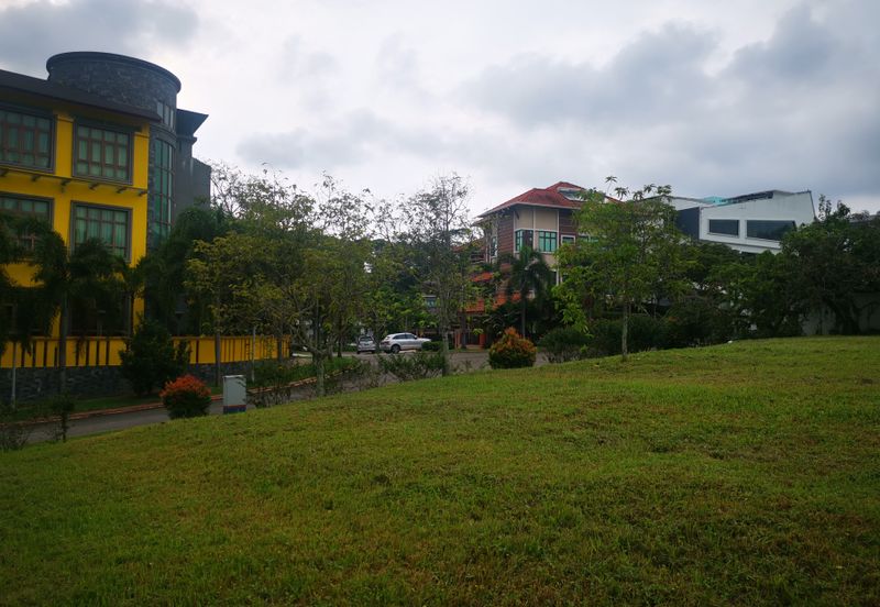 The Lotus of The Mines