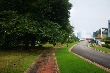 The Lotus of The Mines