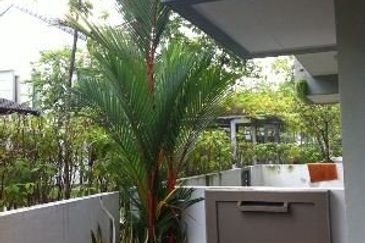 Desa ParkCity (Zenia)