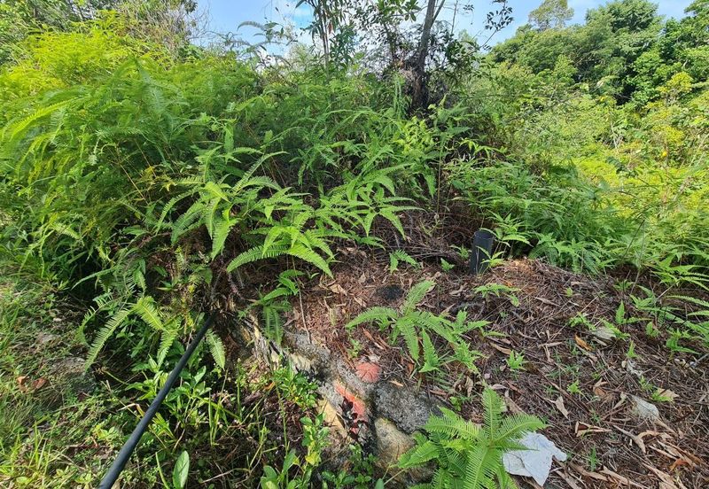 Bandar Saujana Utama