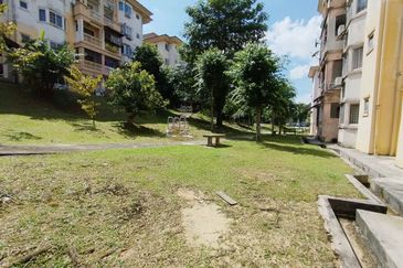 Palma Perak, Seksyen 6 Kota Damansara