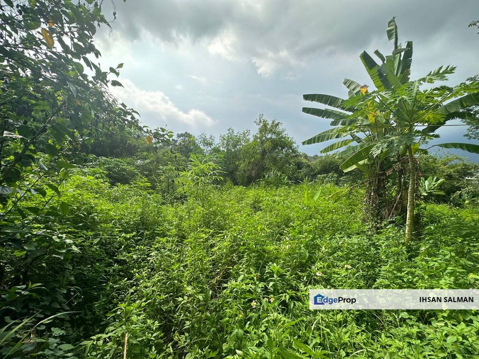 FREEHOLD GERAN INDIVIDU TANAH RATA Lot Bungalow Lorong Teratai Bukit Rahman Putra Sungai Buloh For Sale, Selangor, Sungai Buloh