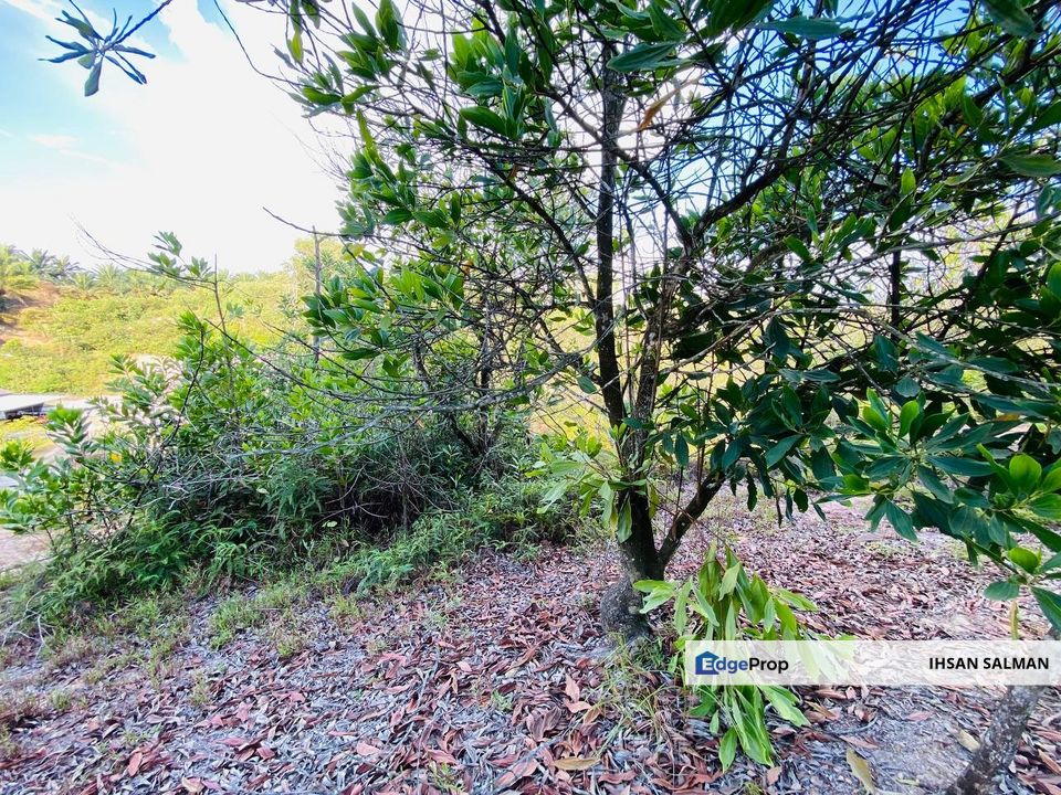 PALING MURAH DEKAT ECRL Tanah Lot Bungalow Ambang Suria Alam Suria Puncak Alam For Sale, Selangor, Bandar Puncak Alam