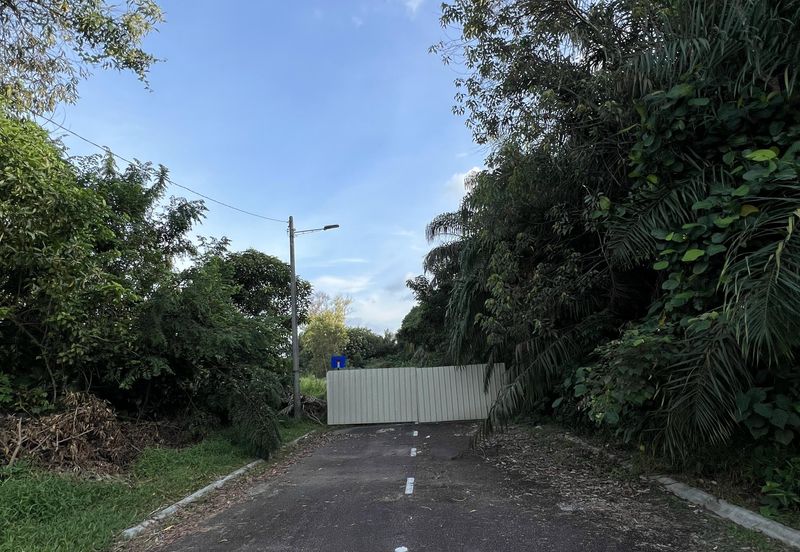 Desa Palma, Nasa City