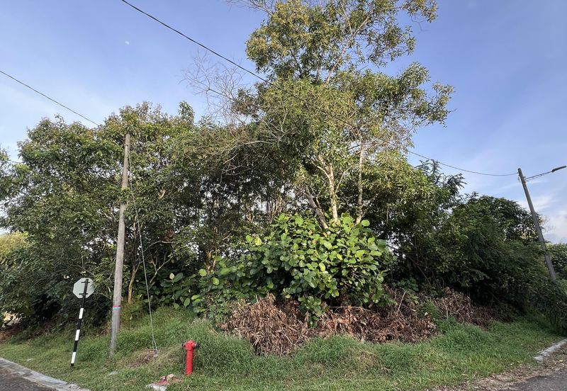 Desa Palma, Nasa City