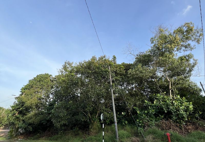 Desa Palma, Nasa City