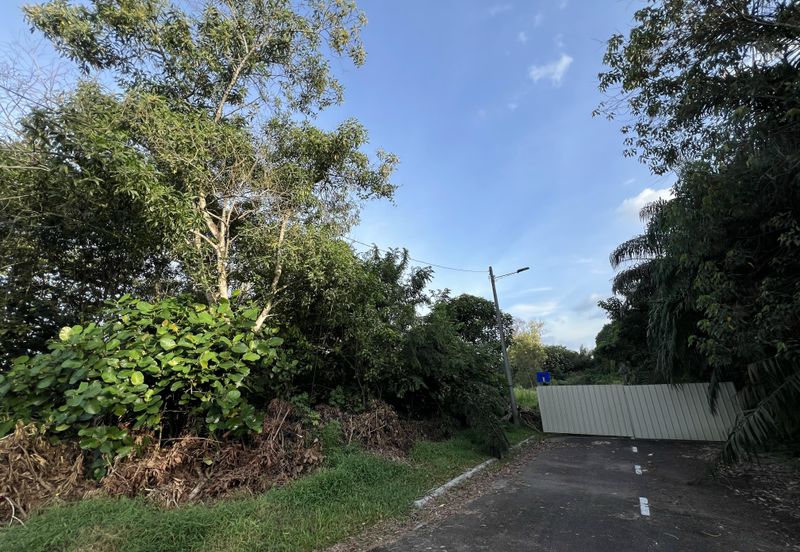 Desa Palma, Nasa City