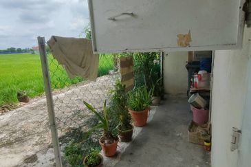 Taman Sayang Selasih