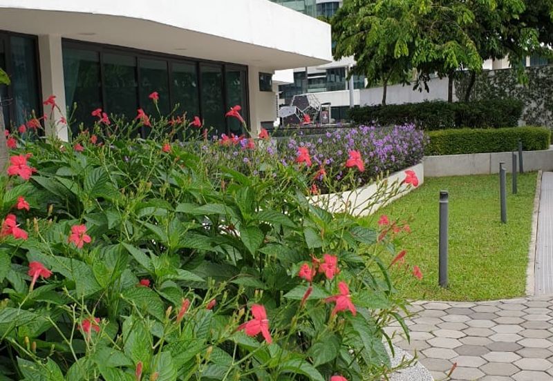 AraGreens Residences