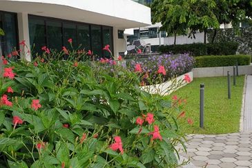 AraGreens Residences