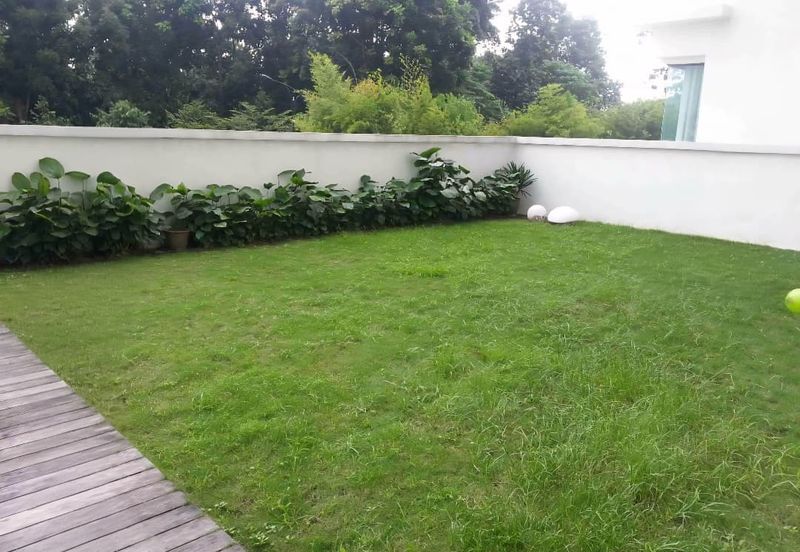 Papillon Desahill Condominium