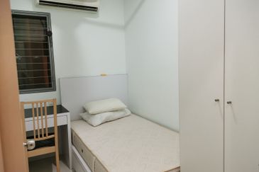 Tropicana City Tropics