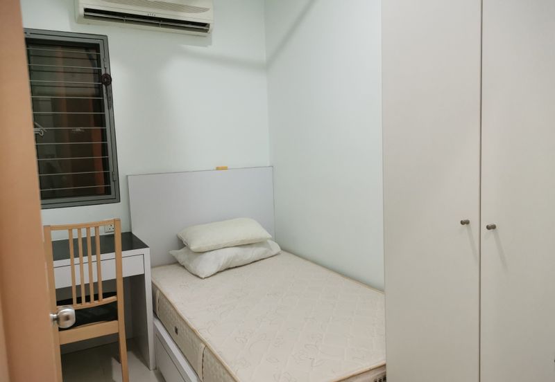 Tropicana City Tropics