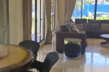 Polo Vista Kota Damansaara 3 sty luxury bunglow fully furnished for rent RM8000