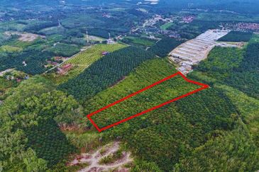 TANAH PERTANIAN TAMPIN, NEGERI SEMBILAN (9.9 EKAR)