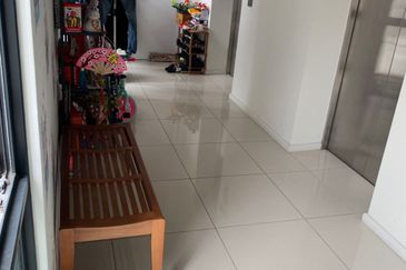 Concerto North Kiara