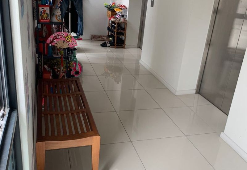 Concerto North Kiara