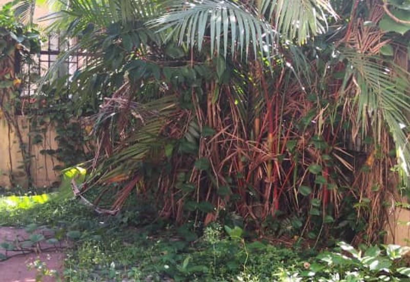 Semi D, Bandar Sri Damansara