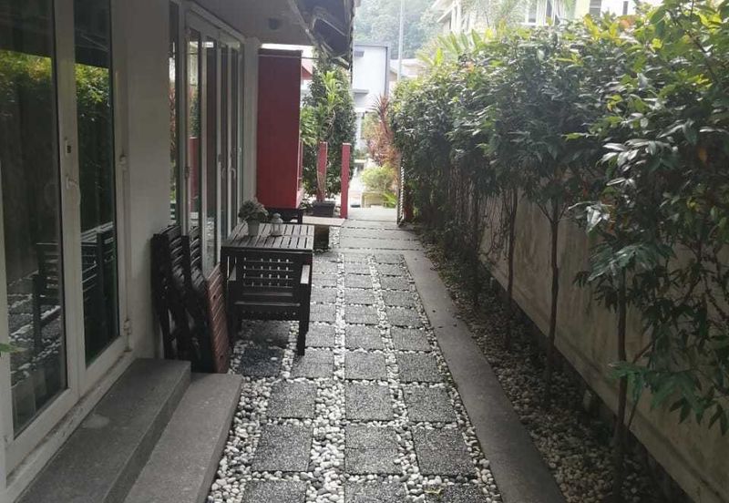 Rafflesia @ Damansara Perdana 