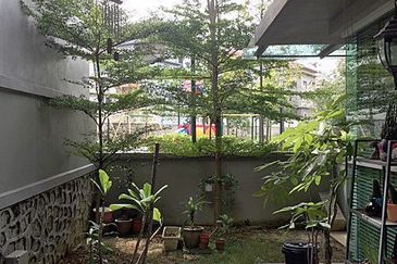 Rafflesia @ The Hill