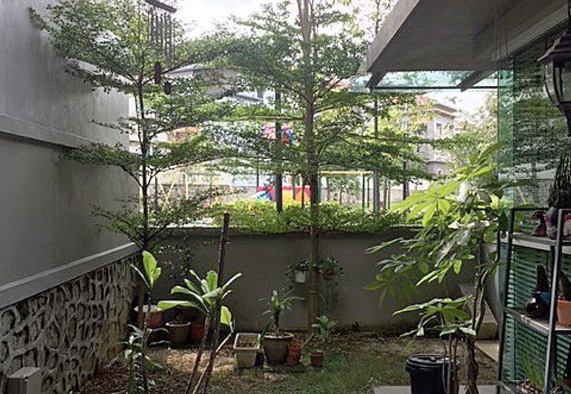 Rafflesia @ The Hill