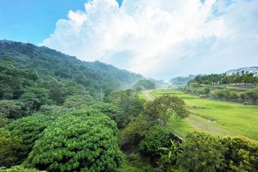 Rafflesia @ The Hill