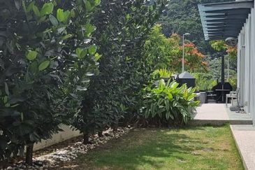 Rafflesia @ The Hill