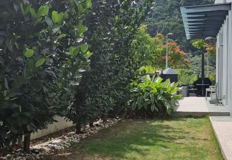 Rafflesia @ The Hill