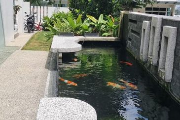 Rafflesia @ The Hill