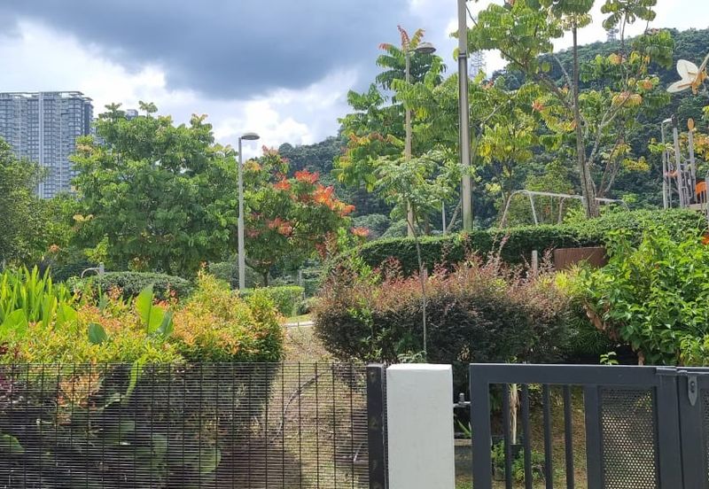 Rafflesia @ The Hill