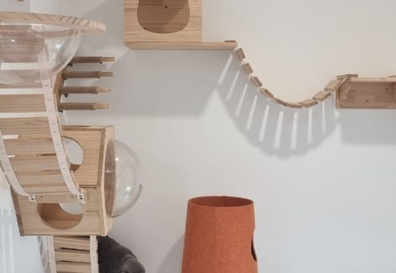 Rafflesia @ The Hill