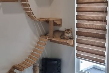 Rafflesia @ The Hill