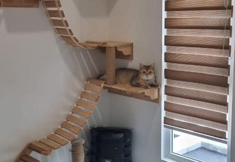 Rafflesia @ The Hill