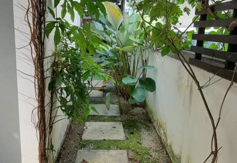 Rafflesia @ The Hill