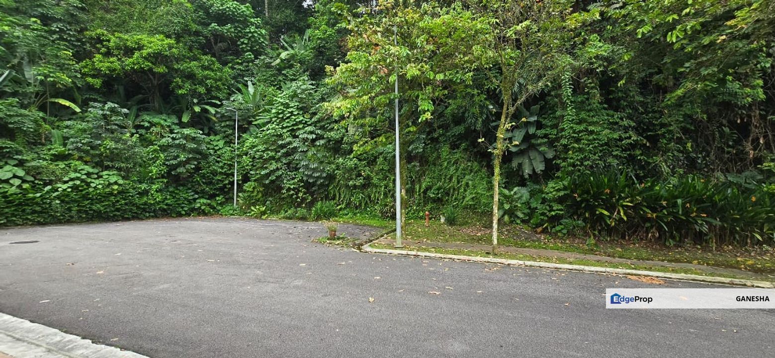 The Rafflesia-Lake view, Selangor, Damansara Perdana