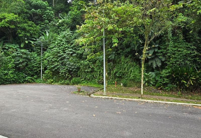 Rafflesia @ The Hill