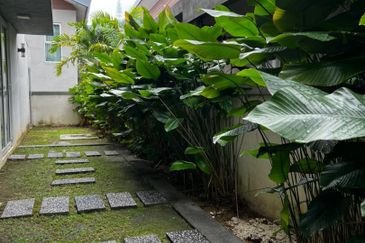 Rafflesia @ The Hill