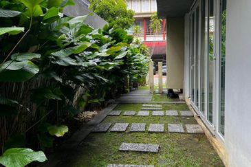 Rafflesia @ The Hill