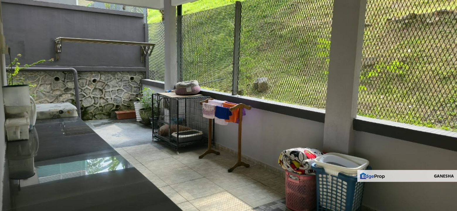 Rafflesia @ The Park, Selangor, Petaling Jaya