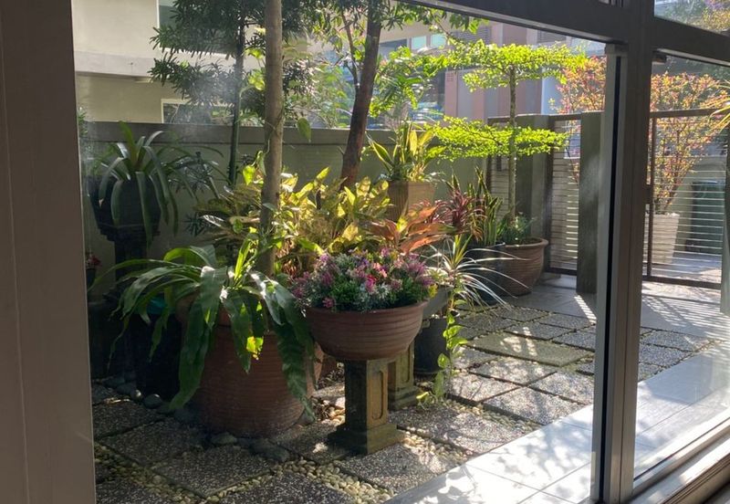 Rafflesia @ The Park